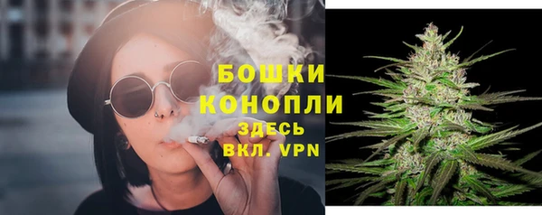 стафф Дмитриев
