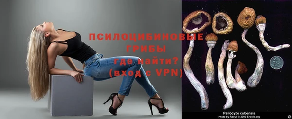 винт Алексин