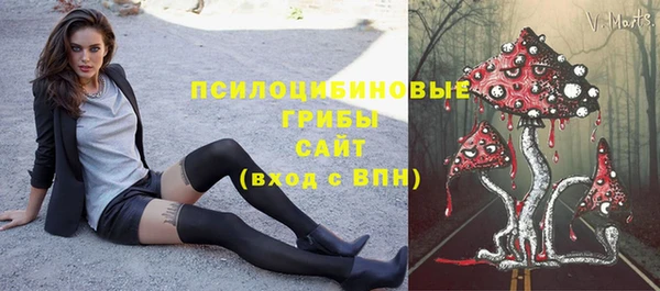 винт Алексин