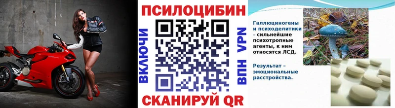 Псилоцибиновые грибы мицелий  hydra как войти  Старая Русса 